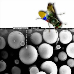 Sal Y Mileto : Disko 0